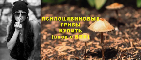 spice Бородино