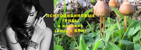 spice Бородино