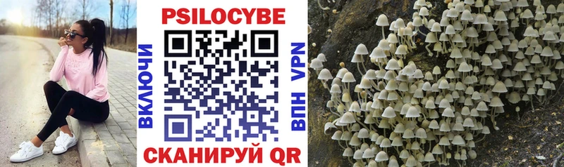 даркнет сайт  Южноуральск  Галлюциногенные грибы MAGIC MUSHROOMS 